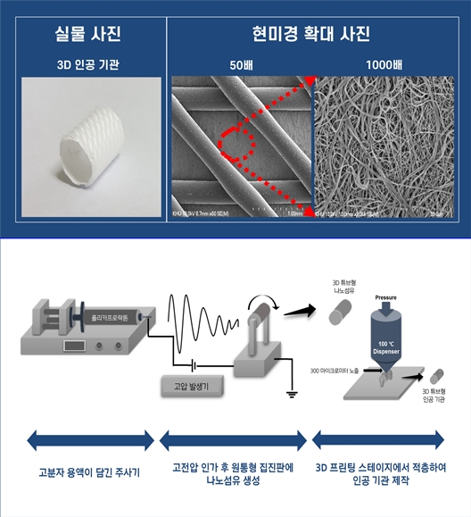 ‘3D 튜브형 인공 기관’ 제작 기술 개발 - 산업종합저널 전자