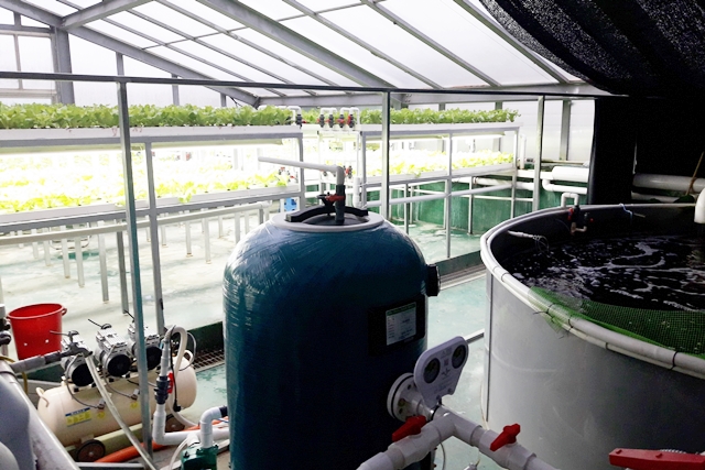아쿠아포닉스 산업화 위한 신기술 2건 세계 최초 개발 - 산업종합저널 장비