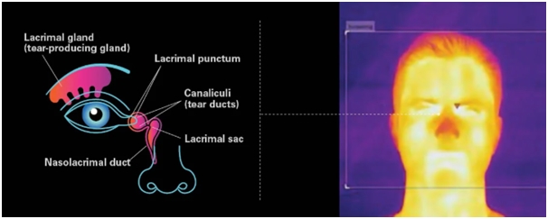 [TECH] 발열(피부 온도 상승, EST) 검사란… - 산업종합저널 동향