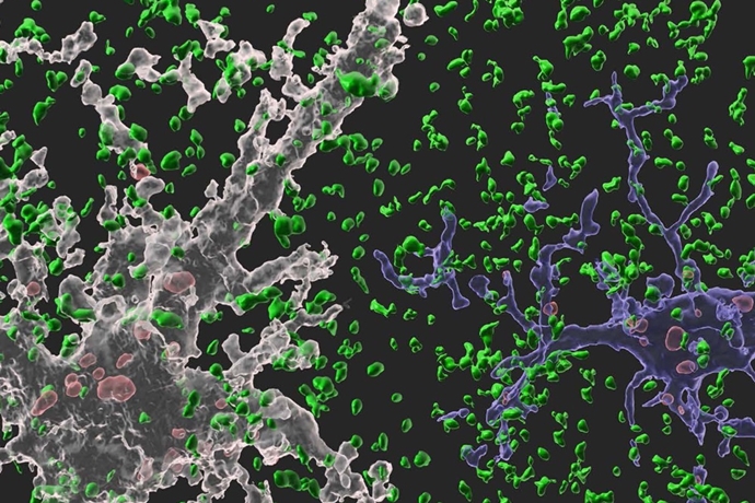 [Scientist] 카이스트 정원석 교수, 뇌·인지과학 연구 분야에 새로운 돌파구 마련 - 산업종합저널 동향