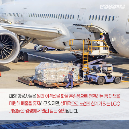 [카드뉴스] LCC, 코로나19 대책···화물 노선 취항 등 방안 모색 중 - 산업종합저널 동향
