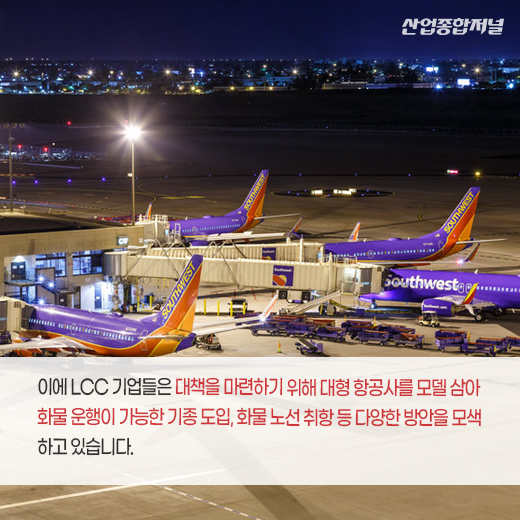 [카드뉴스] LCC, 코로나19 대책···화물 노선 취항 등 방안 모색 중 - 산업종합저널 동향