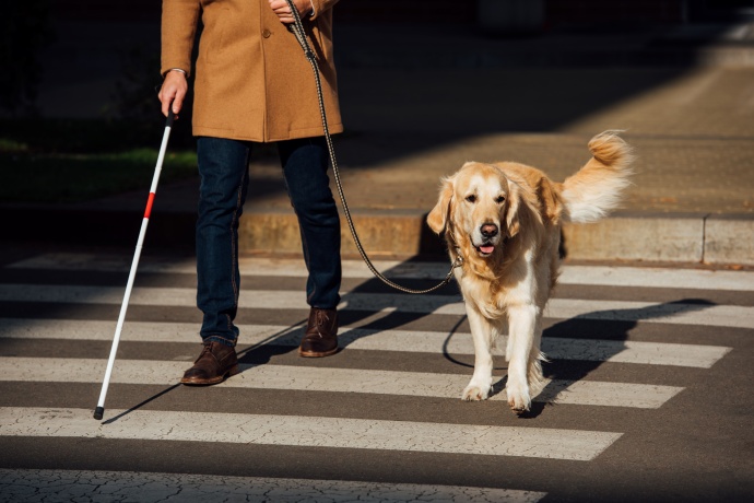 시각장애인 대중교통 문제···첨단정보통신기술 활용한 정책 필요 - 산업종합저널 정책