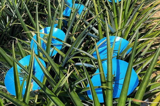 바스프, 재활용 플라스틱 소재 농업 기계 장비 생산에 ‘이가사이클’ 공급 - 산업종합저널 화학