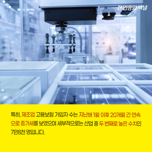 [카드뉴스] 제조업 고용시장, 20개월 연속 증가세 - 산업종합저널 동향