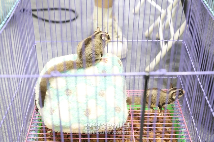 [산업VIEW]산업전시회에 펼쳐진 동물원 - 산업종합저널 전시회