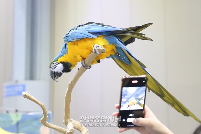 [산업VIEW]산업전시회에 펼쳐진 동물원 - 산업종합저널 전시회