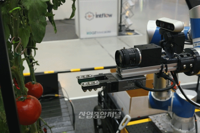 [움짤뉴스]토마토 수확해 박스까지 운반, ‘자동수확로봇’ - 산업종합저널 전시회