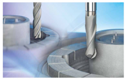 『D Endmill』 그라파이트용 다이아몬드 코팅 엔드밀