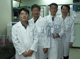 마이크로파에 의한 다공성 제올라이트 조립 및 응용기술