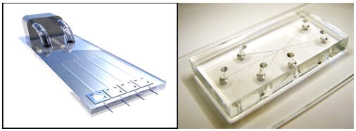 '랩온어칩', 바이오 산업의 핵심 도구로 부상