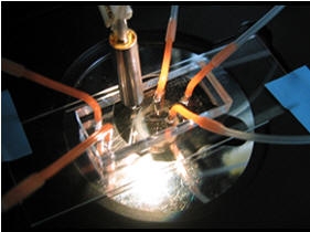 '랩온어칩', 바이오 산업의 핵심 도구로 부상