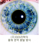 쌍둥이의 홍채도 다르다