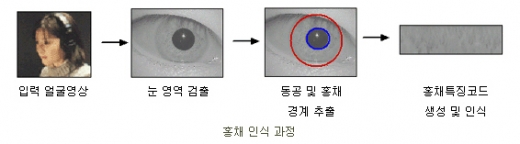 쌍둥이의 홍채도 다르다