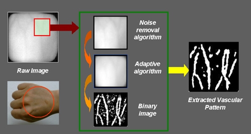 개인 식별의 새로운 주자로 등극