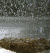 KAIST, 자연현상적 수소저장메커니즘 세계 최초 규명