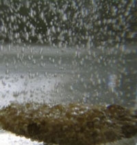 KAIST, 자연현상적 수소저장메커니즘 세계 최초 규명