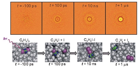 엑스선 펄스 이용해 분자 움직임 읽어내
