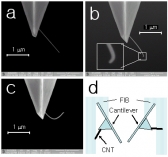 세계 최고 수준의 탄소나노튜브 탐침 개발