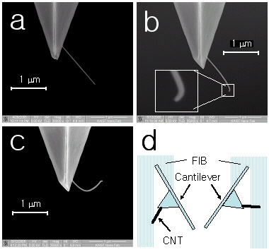 세계 최고 수준의 탄소나노튜브 탐침 개발