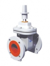 (주)환금, 폴리우레탄 라이닝 제수 밸브