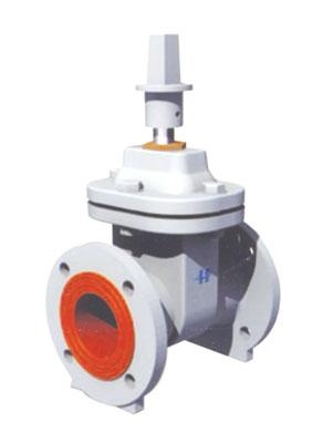 (주)환금, 폴리우레탄 라이닝 제수 밸브