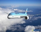 '꿈의 항공기' B787 실물크기 모형 국내 첫 선