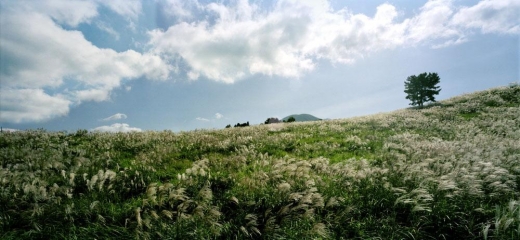 사진으로 보는 구석구석 코리아