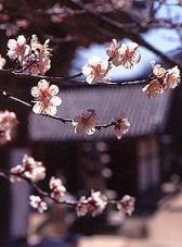 오늘은 절기상 경칩… 맑고 포근