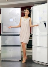 LG전자, 2009년형 디오스 김치 냉장고 출시