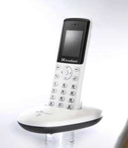 SK브로드밴드, 컨버전스형 상품 '브로드앤올' 출시 