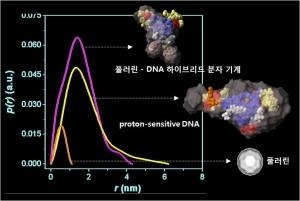 국내 연구진, 하이브리드 분자 기계 작동 메커니즘 규명 