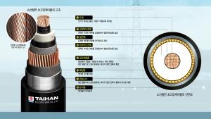 대한전선, 1억4천만佛규모 초고압전력망 턴키 수주