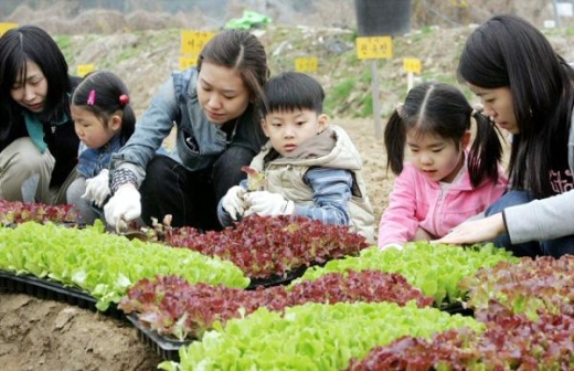 서울시, 주말체험농장 ‘하이서울주말농장’ 11일 개장