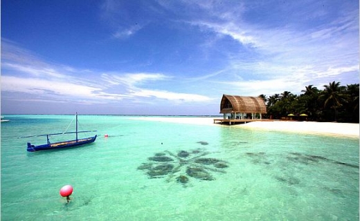 신혼여행상품 특약, 꼼꼼히 확인해야