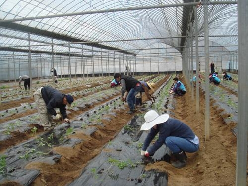 장애인생산품, 대기업과 정기구매 전국최초 협약