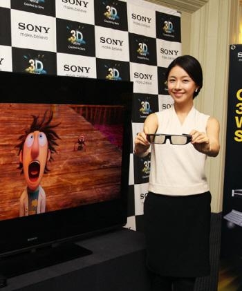 ‘2010 소니 3D 솔루션 세미나’ 