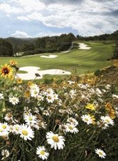 여름철 골프 시원하게 즐기자!