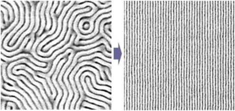 저비용 대면적 나노패턴기술 개발 
