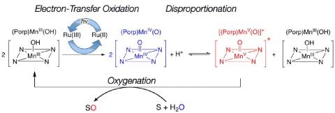 친환경 촉매 원천기술 개발