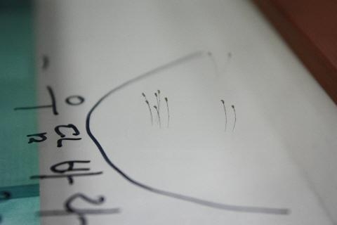 산업마케팅 사무실에 우담바라 '활짝'