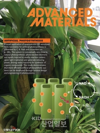 태양전지 소재 이용, 인공광합성 개발 성공
