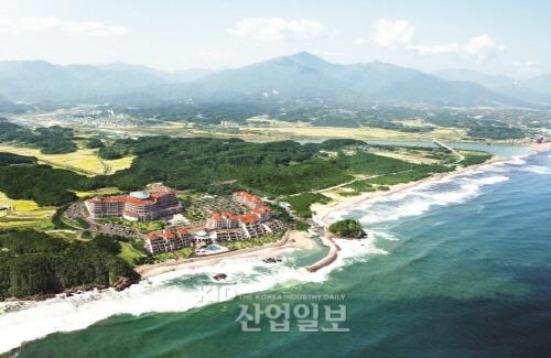 대명리조트(구 대명콘도) 실속형 분양