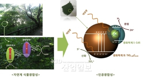 물에서 청정 수소에너지 대량생산 기술 개발