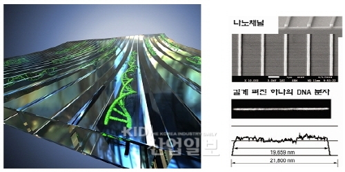 국내연구진, 차세대 DNA분석 원천기술 개발