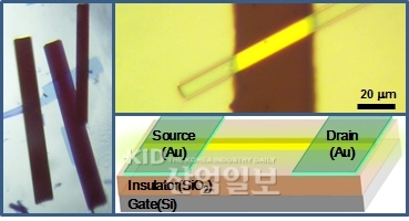 빛 감응 유기 단결정 트랜지스터 개발