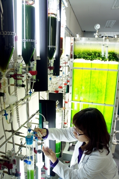 국내 최초 고순도 바이오디젤 개발 성공
