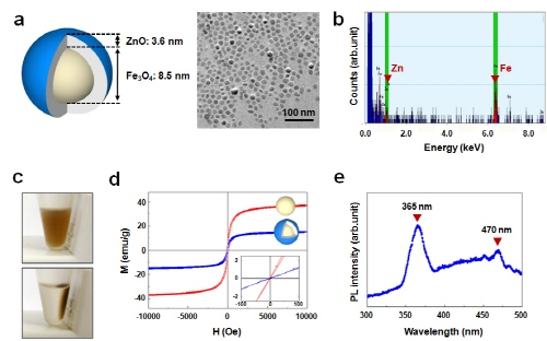 나노메디컬 항암 면역세포치료 신기술 개발