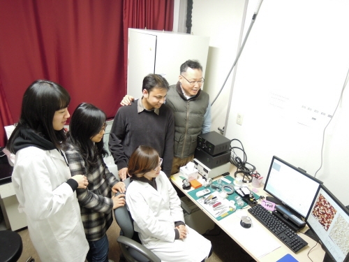 그래핀전극막 비휘발성 분자 메모리 소자 개발