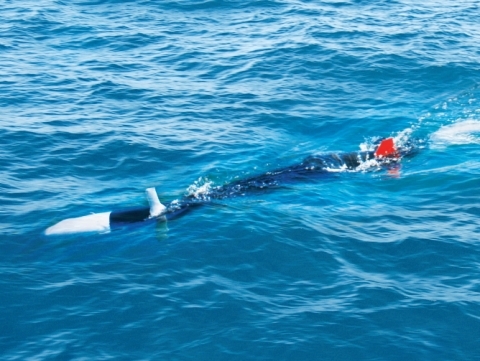 국내 최초 방위사업청 무인잠수정 개발사업 계약